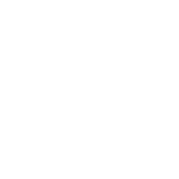 Renovation Icon