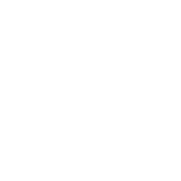 Skyscrapers Icon